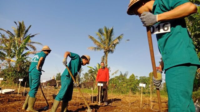 Peran SMK dalam Mengembangkan Sektor Pertanian Indonesia